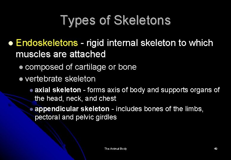 Types of Skeletons Endoskeletons - rigid internal skeleton to which muscles are attached composed
