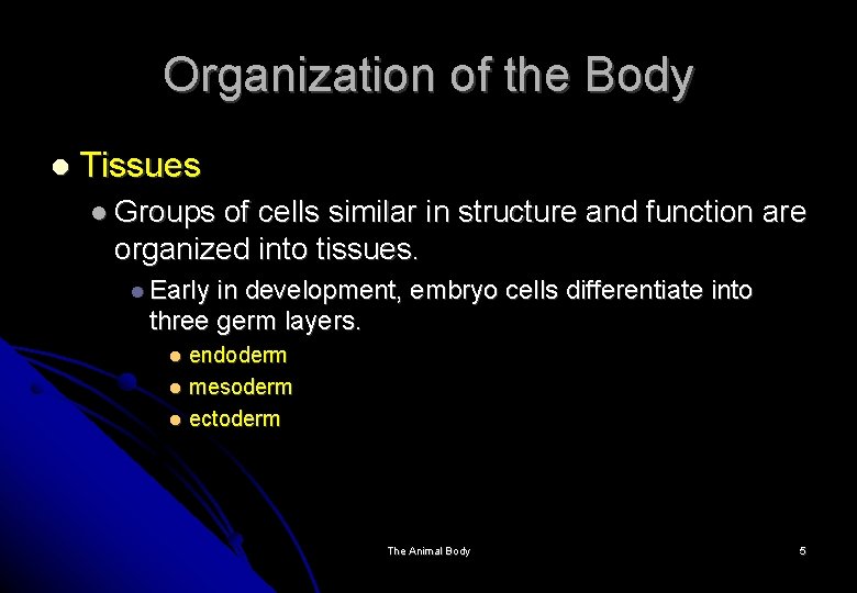 Organization of the Body Tissues Groups of cells similar in structure and function are