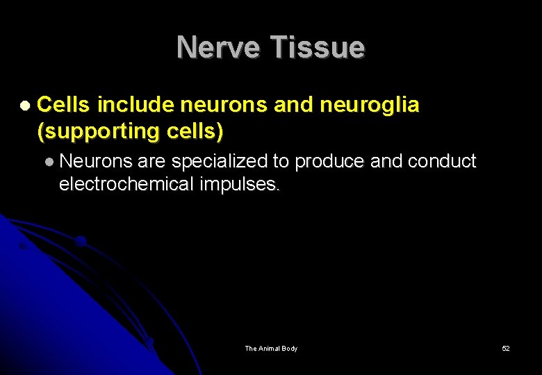 Nerve Tissue Cells include neurons and neuroglia (supporting cells) Neurons are specialized to produce