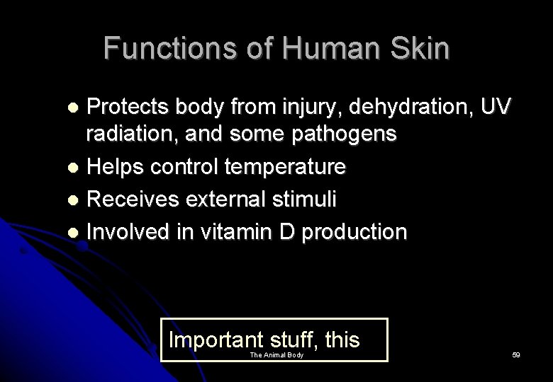 Functions of Human Skin Protects body from injury, dehydration, UV radiation, and some pathogens