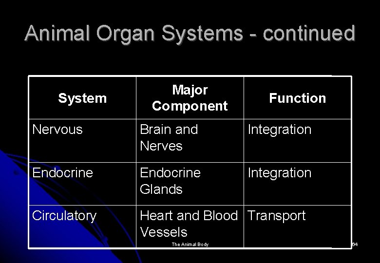 Animal Organ Systems - continued System Major Component Function Nervous Brain and Nerves Integration