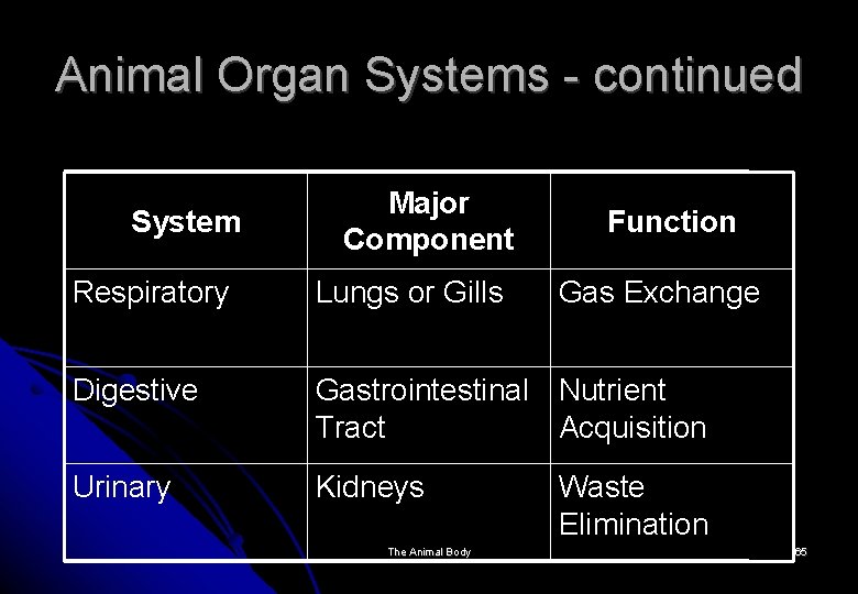 Animal Organ Systems - continued System Major Component Function Respiratory Lungs or Gills Digestive