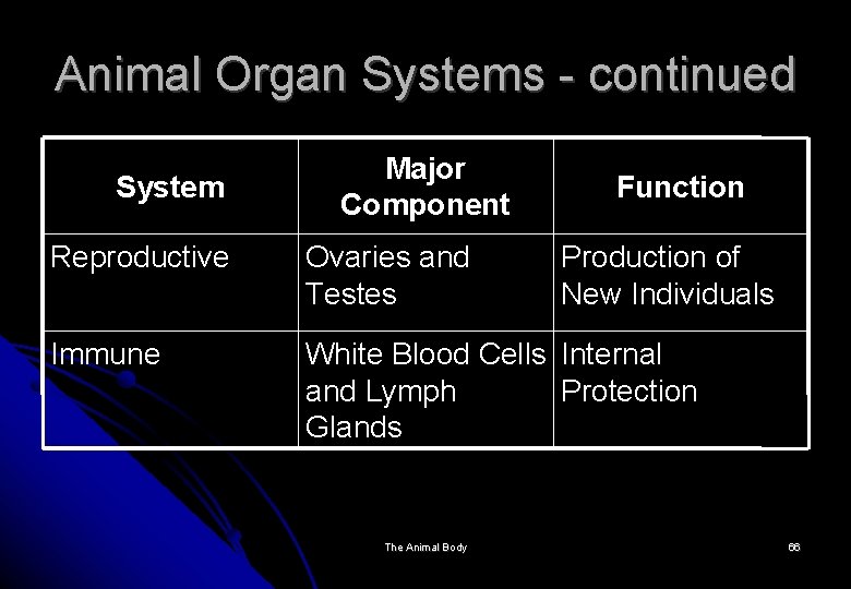 Animal Organ Systems - continued System Major Component Function Reproductive Ovaries and Testes Immune