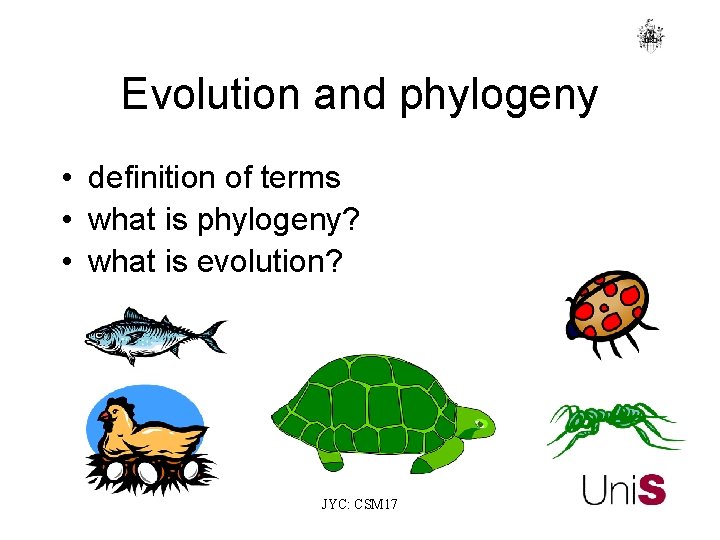 Evolution and phylogeny • definition of terms • what is phylogeny? • what is