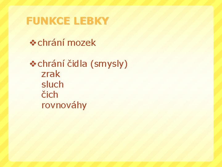 FUNKCE LEBKY v chrání mozek v chrání čidla (smysly) zrak sluch čich rovnováhy 