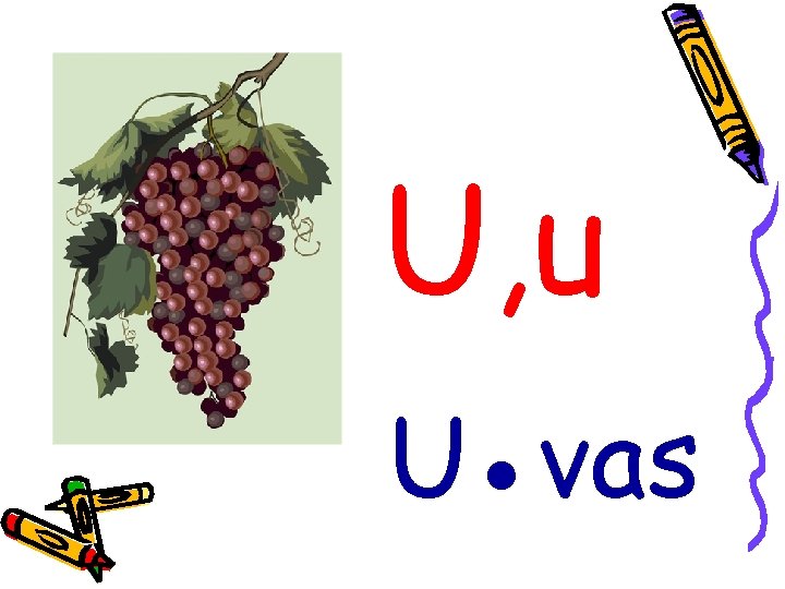 U, u U●vas 