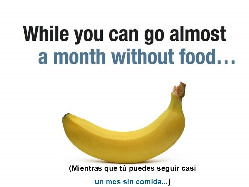 (Mientras que tú puedes seguir casi un mes sin comida. . . ) 