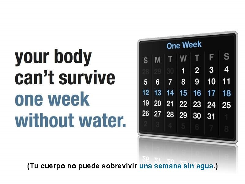 (Tu cuerpo no puede sobrevivir una semana sin agua. ) 