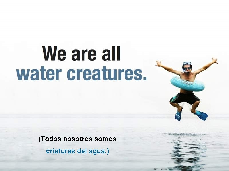 (Todos nosotros somos criaturas del agua. ) 