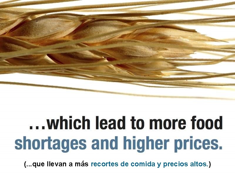 (. . . que llevan a más recortes de comida y precios altos. )