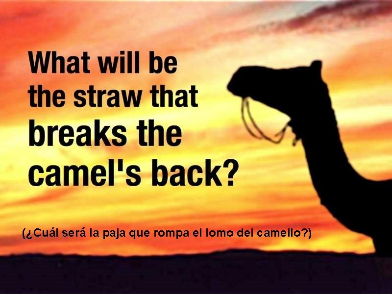 (¿Cuál será la paja que rompa el lomo del camello? ) 