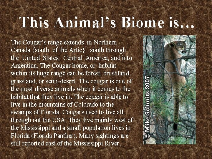 This Animal’s Biome is… The Cougar’s range extends in Northern Canada {south of the