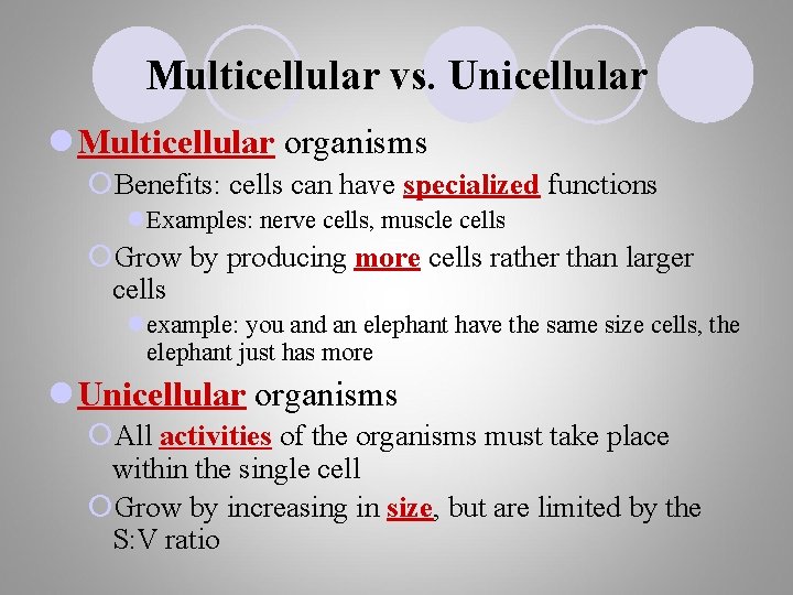 Multicellular vs. Unicellular l Multicellular organisms ¡Benefits: cells can have specialized functions l. Examples: