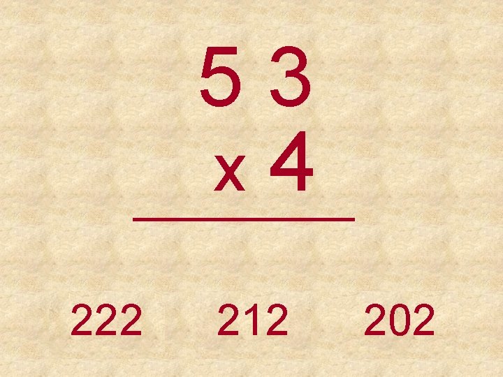 53 x 4 _____ 222 212 202 