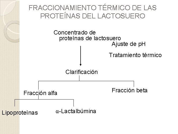 FRACCIONAMIENTO TÉRMICO DE LAS PROTEÍNAS DEL LACTOSUERO Concentrado de proteínas de lactosuero Ajuste de