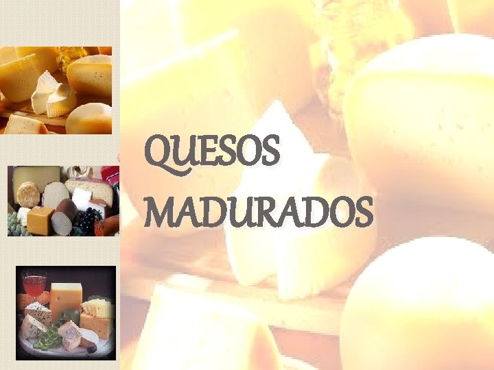 QUESOS MADURADOS 