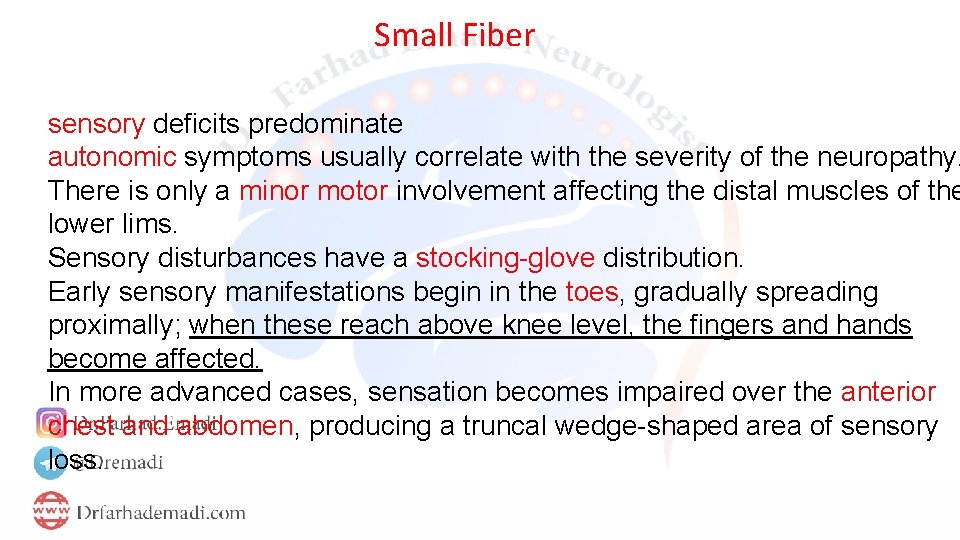 Small Fiber sensory deficits predominate autonomic symptoms usually correlate with the severity of the