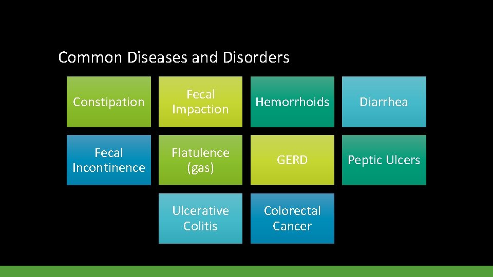 Common Diseases and Disorders Constipation Fecal Impaction Hemorrhoids Diarrhea Fecal Incontinence Flatulence (gas) GERD