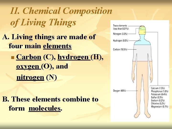II. Chemical Composition of Living Things A. Living things are made of four main
