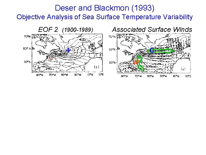 Deser and Blackmon (1993) Objective Analysis of Sea Surface Temperature Variability EOF 2 (1900