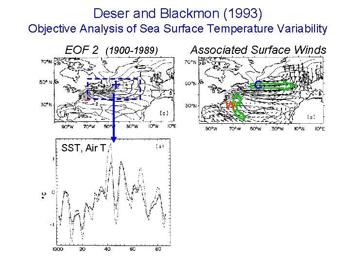 Deser and Blackmon (1993) Objective Analysis of Sea Surface Temperature Variability EOF 2 (1900