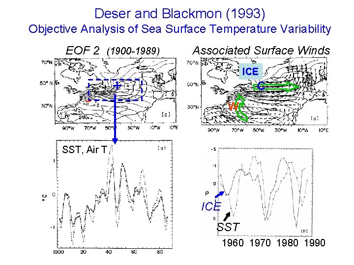 Deser and Blackmon (1993) Objective Analysis of Sea Surface Temperature Variability EOF 2 (1900