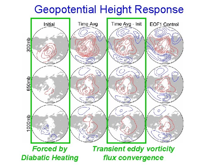 Geopotential Height Response Forced by Diabatic Heating Transient eddy vorticity flux convergence 