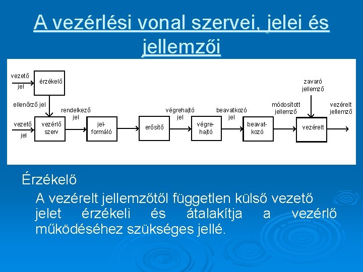 A vezérlési vonal szervei, jelei és jellemzői vezető jel érzékelő zavaró jellemző ellenőrző jel