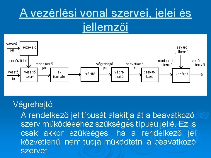 A vezérlési vonal szervei, jelei és jellemzői vezető jel érzékelő zavaró jellemző ellenőrző jel