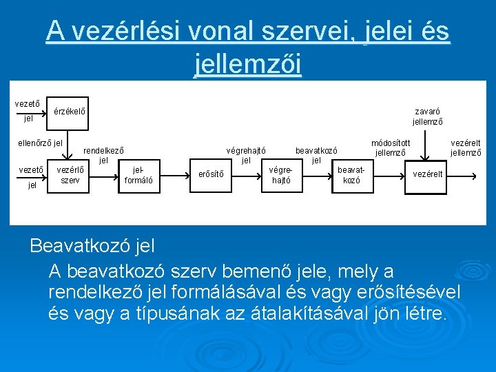 A vezérlési vonal szervei, jelei és jellemzői vezető jel érzékelő zavaró jellemző ellenőrző jel