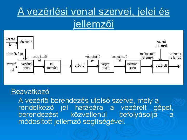 A vezérlési vonal szervei, jelei és jellemzői vezető jel érzékelő zavaró jellemző ellenőrző jel