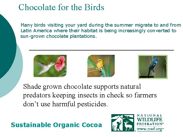Chocolate for the Birds Many birds visiting your yard during the summer migrate to