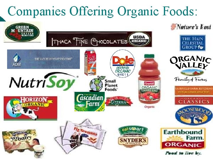 Companies Offering Organic Foods: 