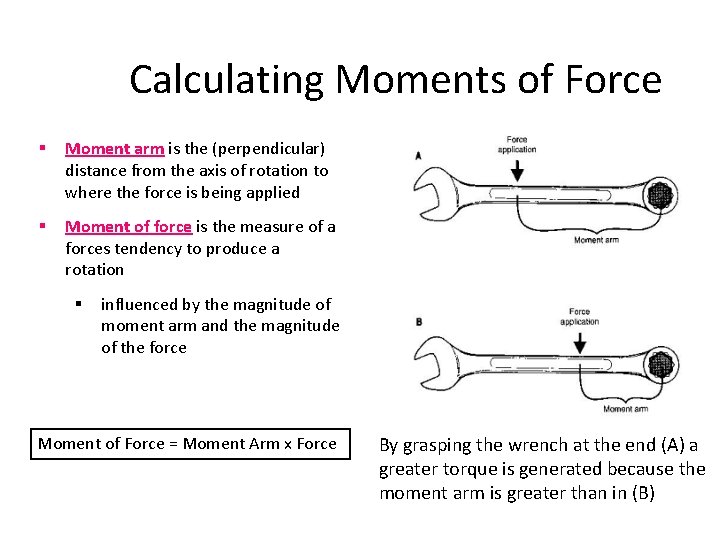 Calculating Moments of Force § Moment arm is the (perpendicular) distance from the axis Calculating Moments of Force § Moment arm is the (perpendicular) distance from the axis
