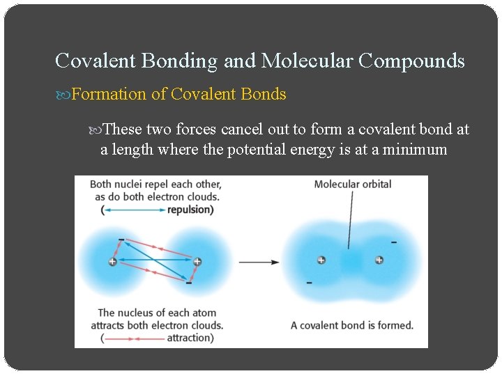 Covalent Bonding and Molecular Compounds Formation of Covalent Bonds These two forces cancel out