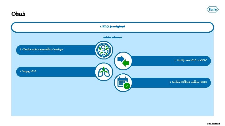 Obsah 1. SCLC: Je co zlepšovat! Podrobné informace o: 2. Charakteristika onemocnění a histologie