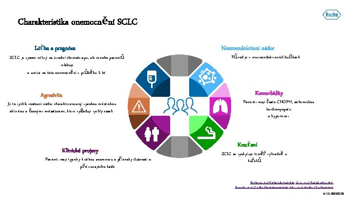 Charakteristika onemocnění SCLC Léčba a prognóza SCLC je vysoce citlivý na úvodní chemoterapii, ale