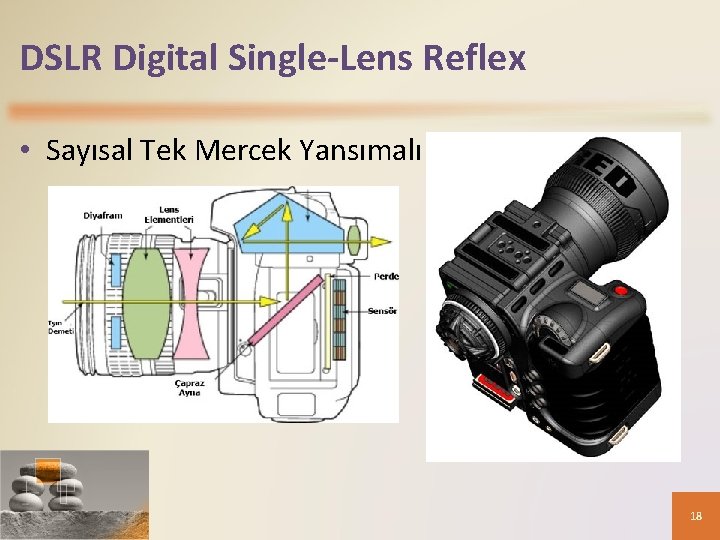 DSLR Digital Single-Lens Reflex • Sayısal Tek Mercek Yansımalı 18 