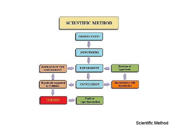 Scientific Method 