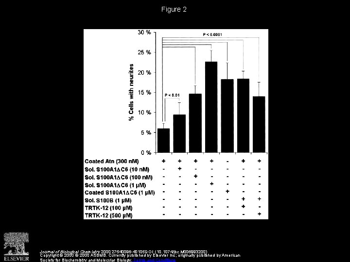 Figure 2 Journal of Biological Chemistry 2000 27540096 -40105 DOI: (10. 1074/jbc. M 006993200)