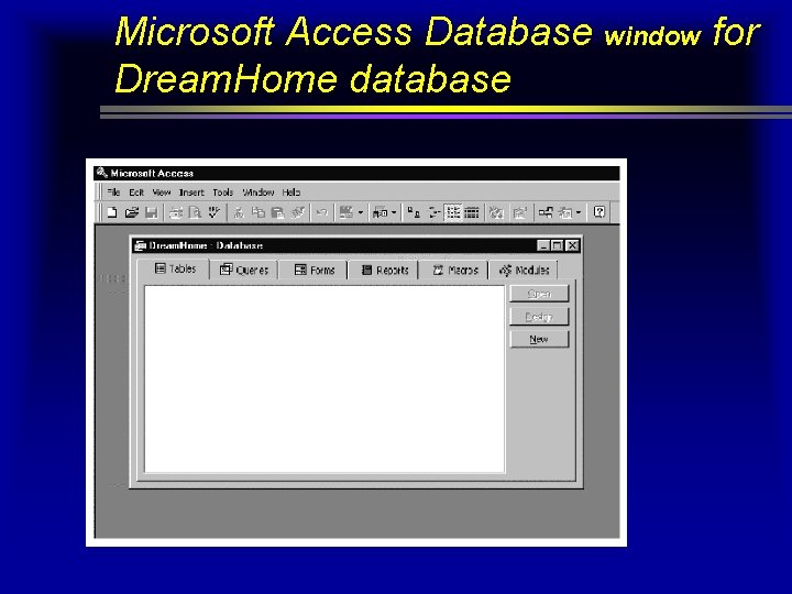 Microsoft Access Database window for Dream. Home database Microsoft Access Database window for Dream. Home database