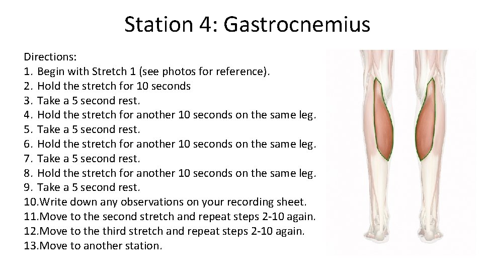 Station 4: Gastrocnemius Directions: 1. Begin with Stretch 1 (see photos for reference). 2.