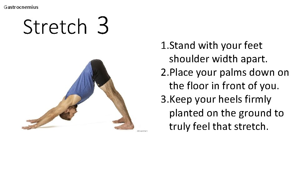 Gastrocnemius Stretch 3 1. Stand with your feet shoulder width apart. 2. Place your