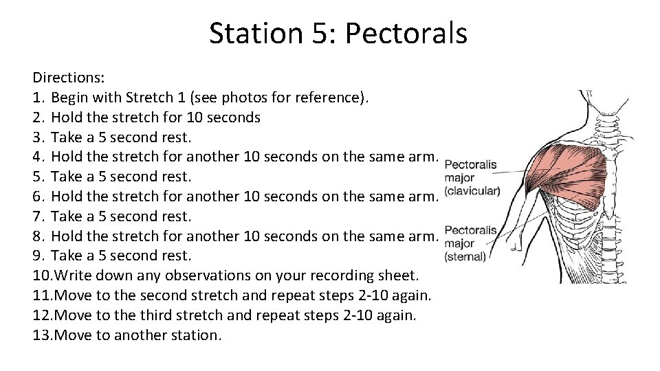 Station 5: Pectorals Directions: 1. Begin with Stretch 1 (see photos for reference). 2.