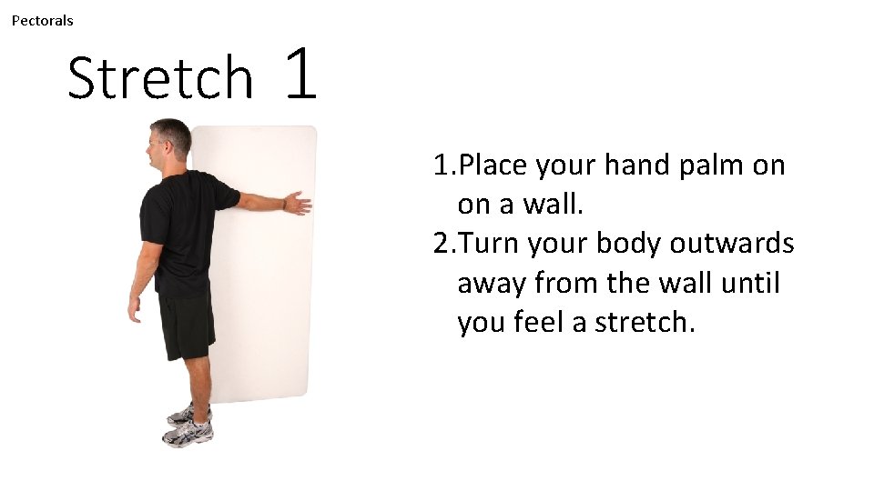 Pectorals Stretch 1 1. Place your hand palm on on a wall. 2. Turn