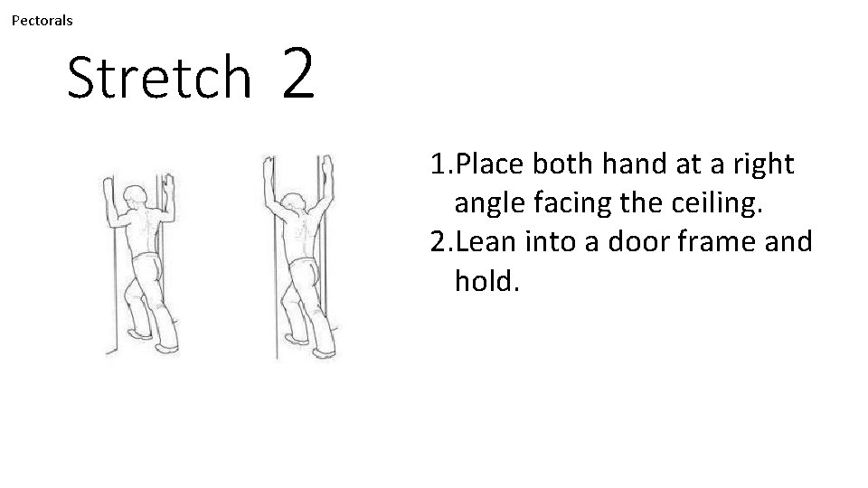 Pectorals Stretch 2 1. Place both hand at a right angle facing the ceiling.