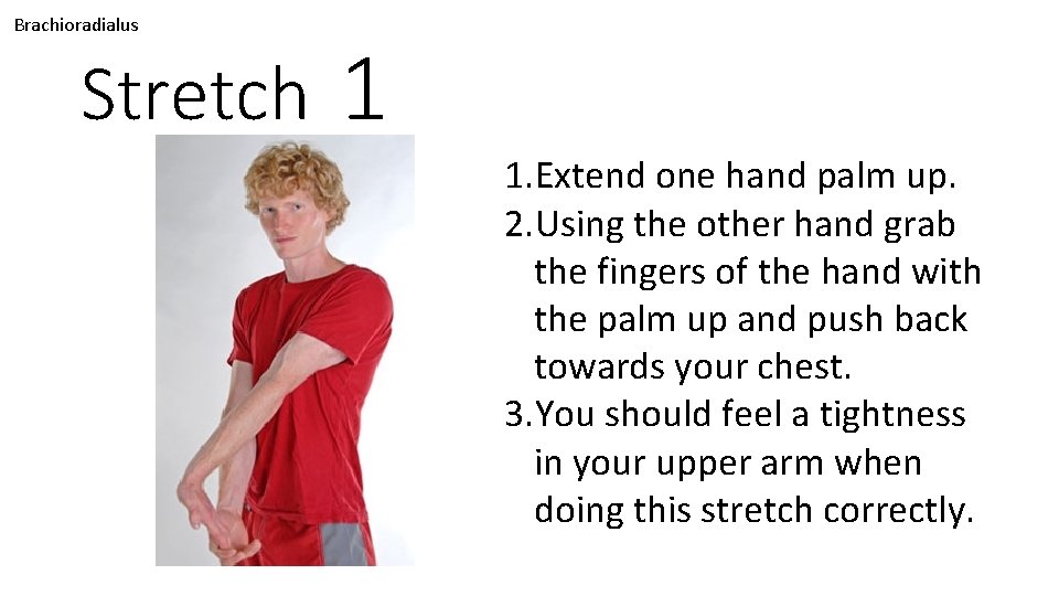 Brachioradialus Stretch 1 1. Extend one hand palm up. 2. Using the other hand