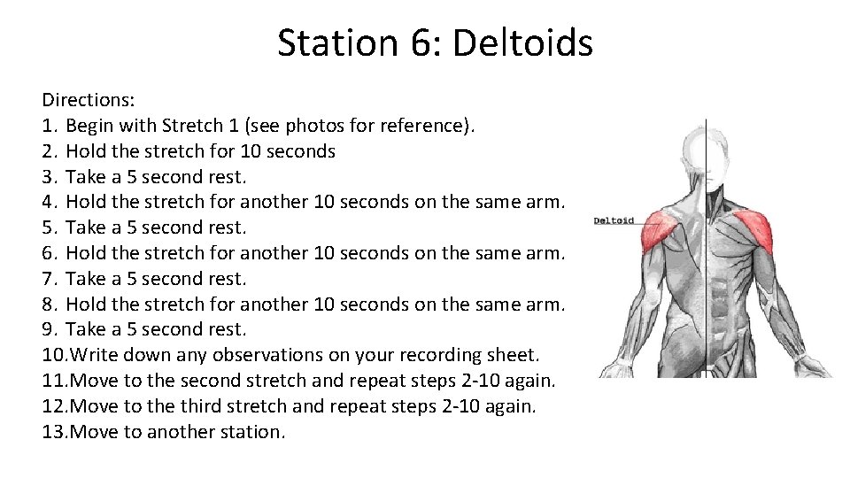 Station 6: Deltoids Directions: 1. Begin with Stretch 1 (see photos for reference). 2.