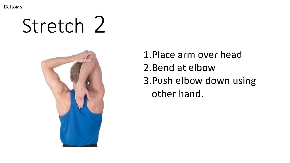 Deltoids Stretch 2 1. Place arm over head 2. Bend at elbow 3. Push