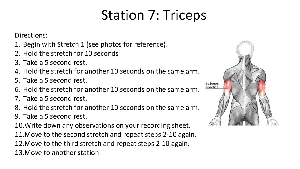 Station 7: Triceps Directions: 1. Begin with Stretch 1 (see photos for reference). 2.